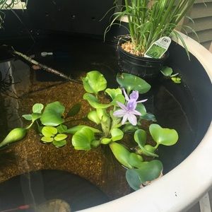 Meet your Posher, Julie